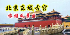伊人鸡巴中国北京-东城古宫旅游风景区